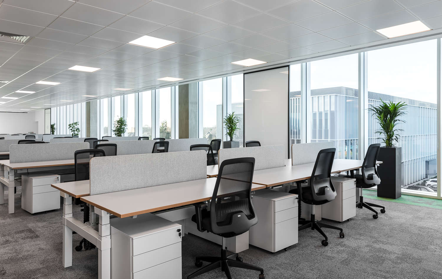 DisplayLink 2019 - Projects | The Workspace Consultants