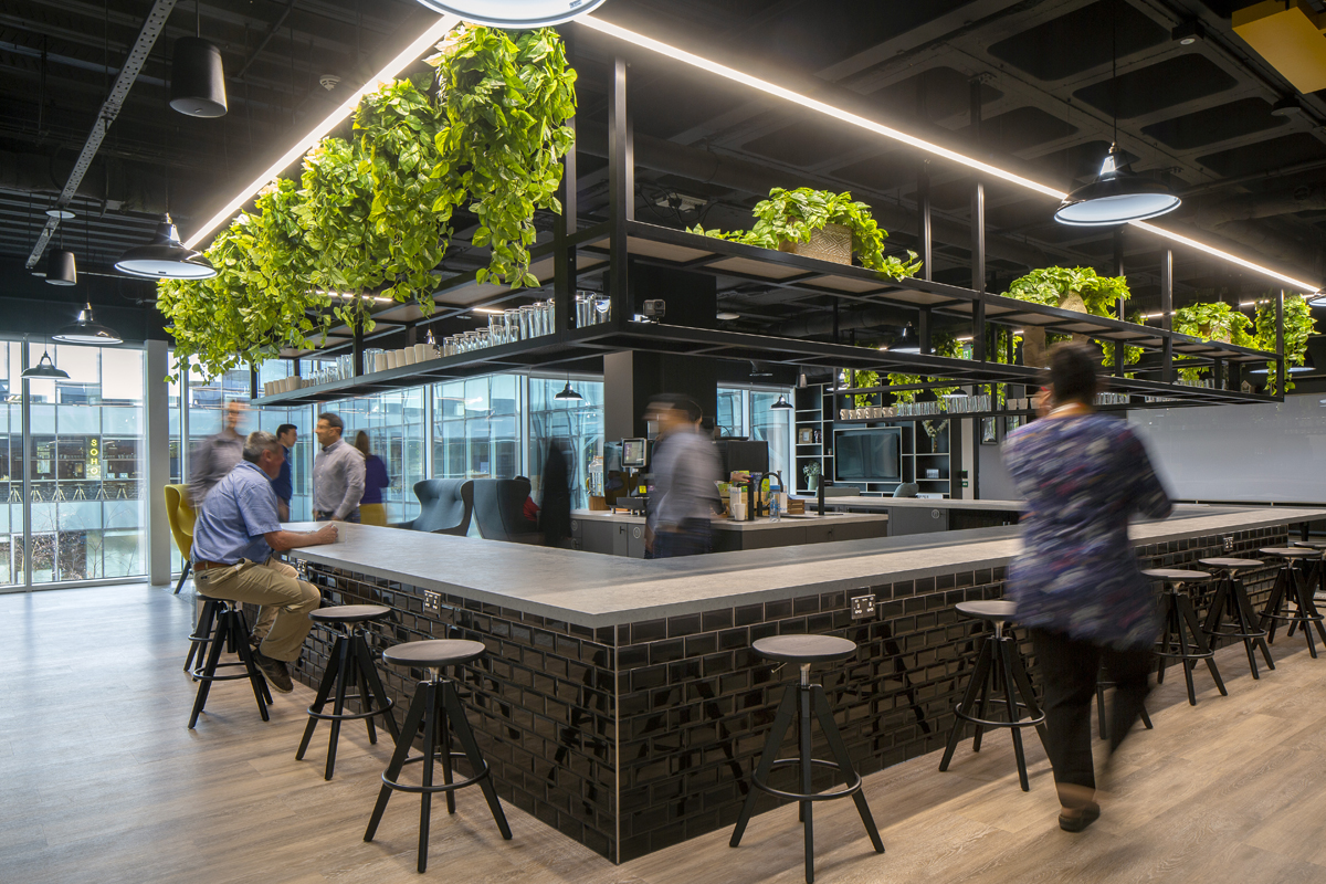 ServiceNow - Projects | The Workspace Consultants
