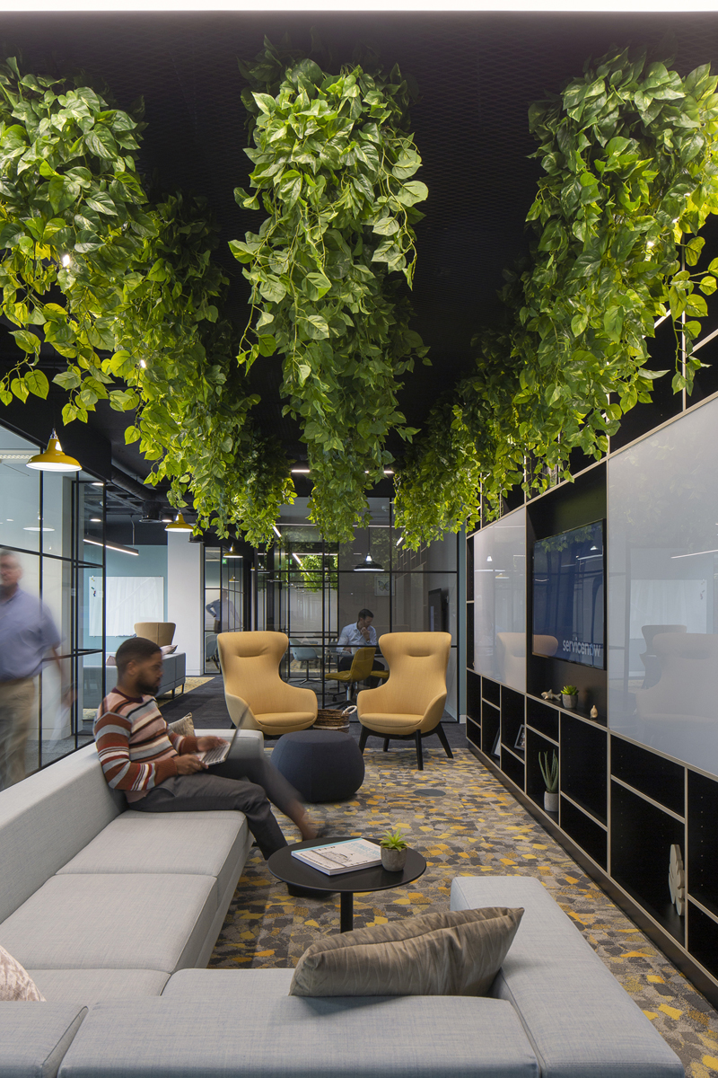 ServiceNow - Projects | The Workspace Consultants