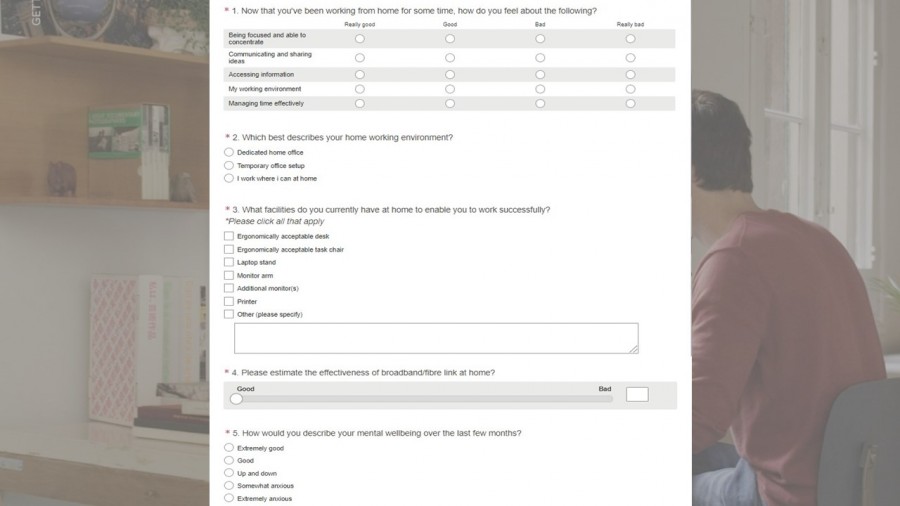 Working from home E-Survey